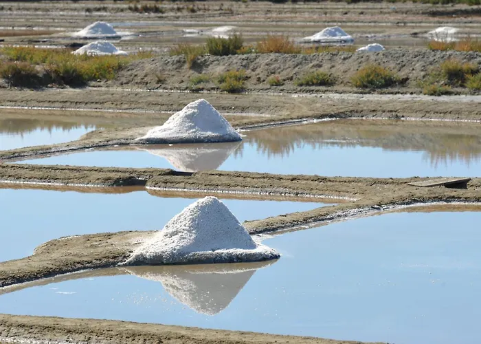 Hébergement de vacances Hotel-club Et Locations Domaine De Port Aux Rocs *